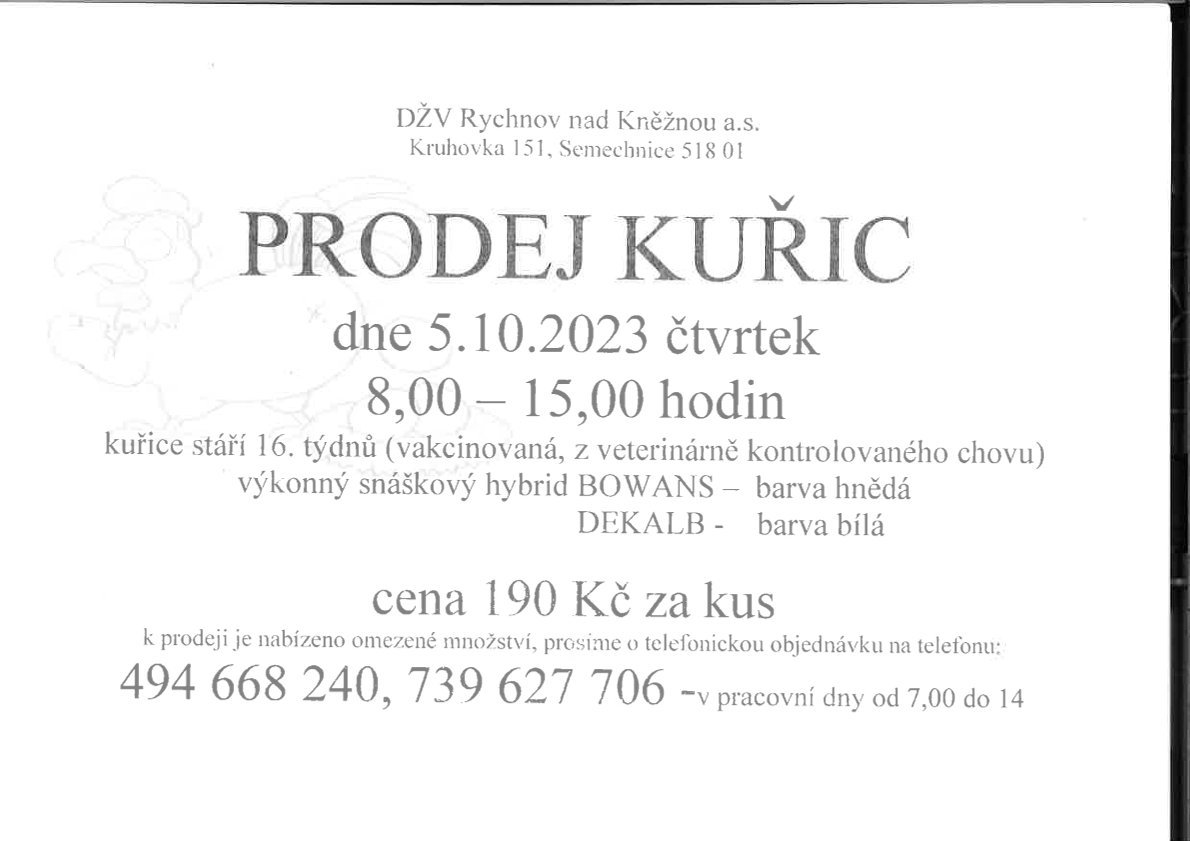 ikona článku