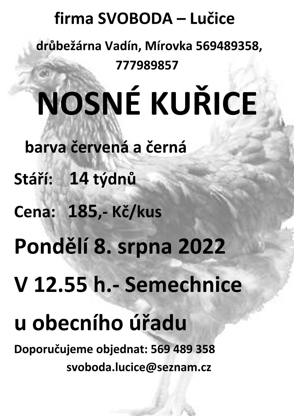 ikona článku